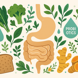 Digestive Health & Detox